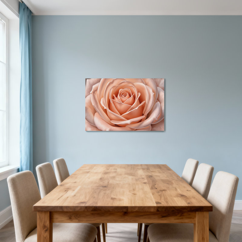 Plantes et fleurs, rose pêche doux, gros plan, H 28 po x l 40 po