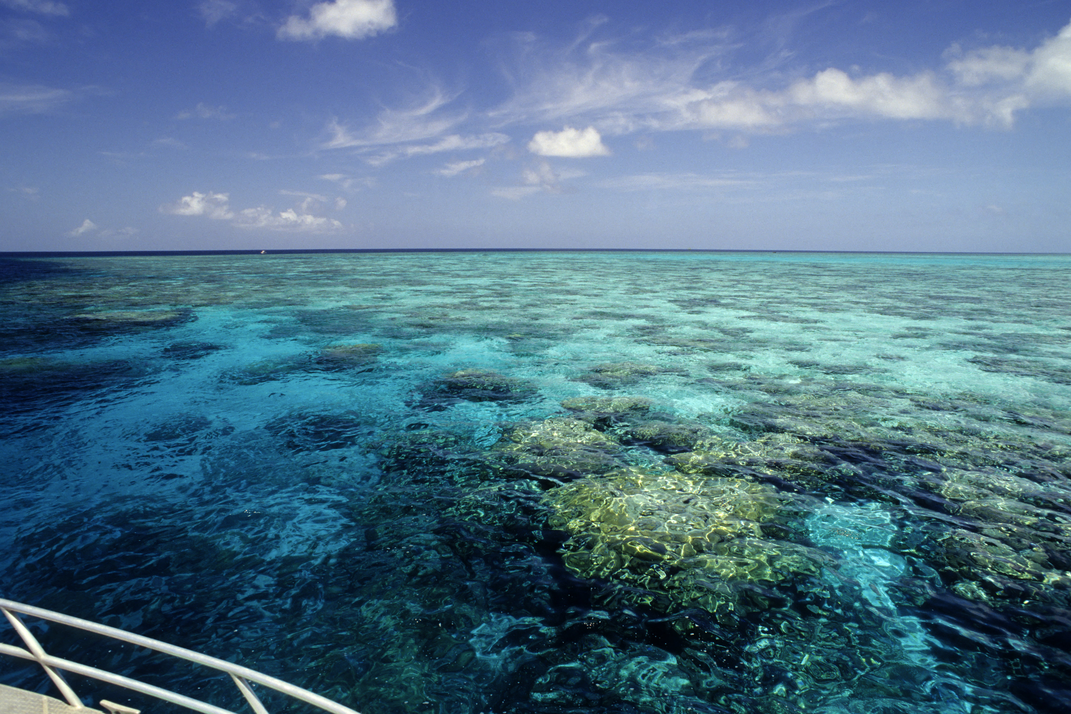 Rotto Reef Wall Art Production Network Reef ride | Wayfair.co.uk