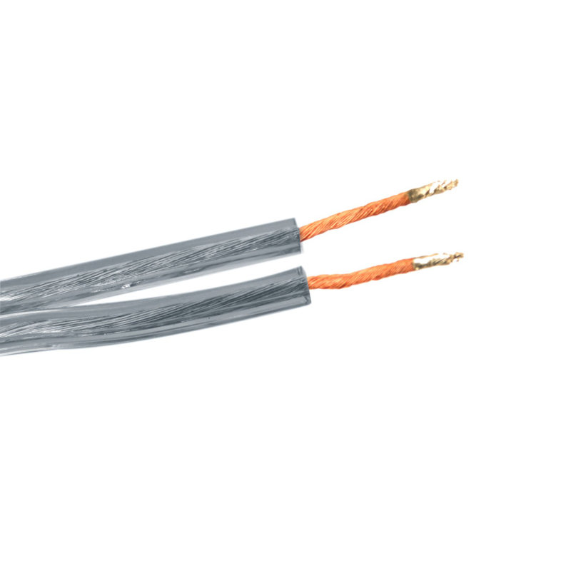 Remplacement du cordon de la lampe, Argent