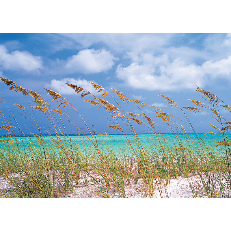 Celestyn Beach Wall Mural