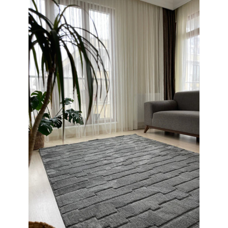 Tapis en coton Natasza, Rectangle 5 pi 3 po x 16 pi 5 po