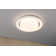 Plastic Flush Ceiling Light