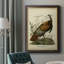 Toile de qualité supérieure Audubon Wild Turquie, prête à être accrochée-1756565097