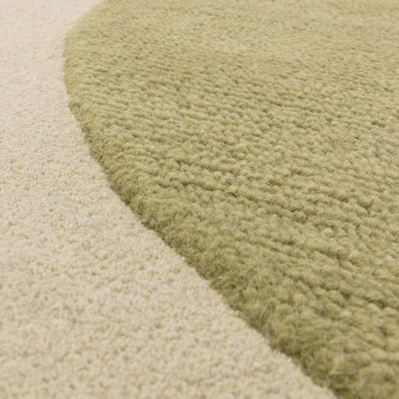 Bloxson Green Area Rug, Rectangle 120 x 170cm