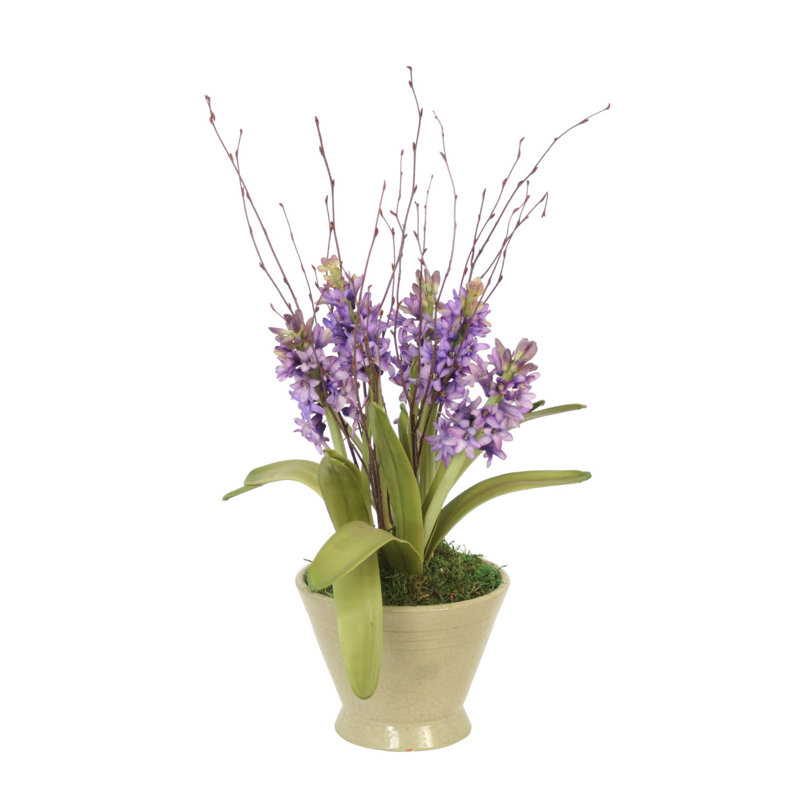 Arrangement en pot