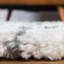 Tapis ivoire / noir Pickering-79165871