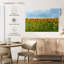 Tournesols Alvord-111831242