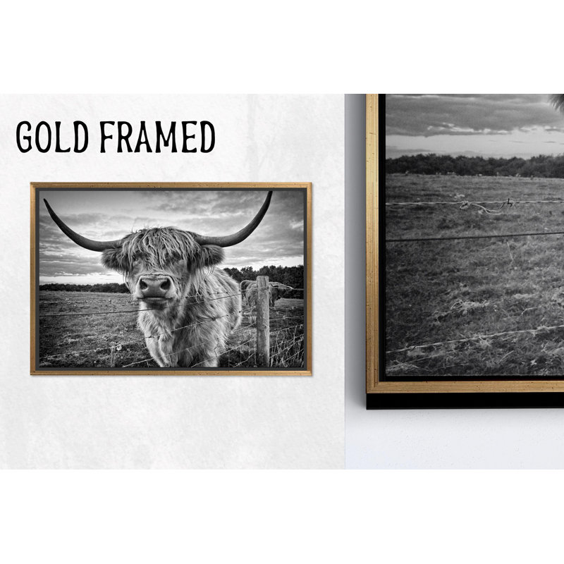 Impression sur toile Highland Cow: Elegant Scottish Bovins, 47,3 po H x 102,4 po l