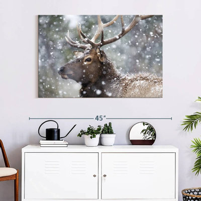 Wapiti d'hiver