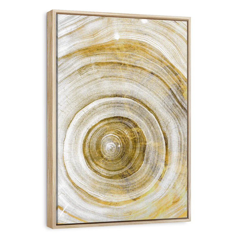 Tree Rings Molinari Geometric, Floating Frame Natural Wood, 21" x 31"
