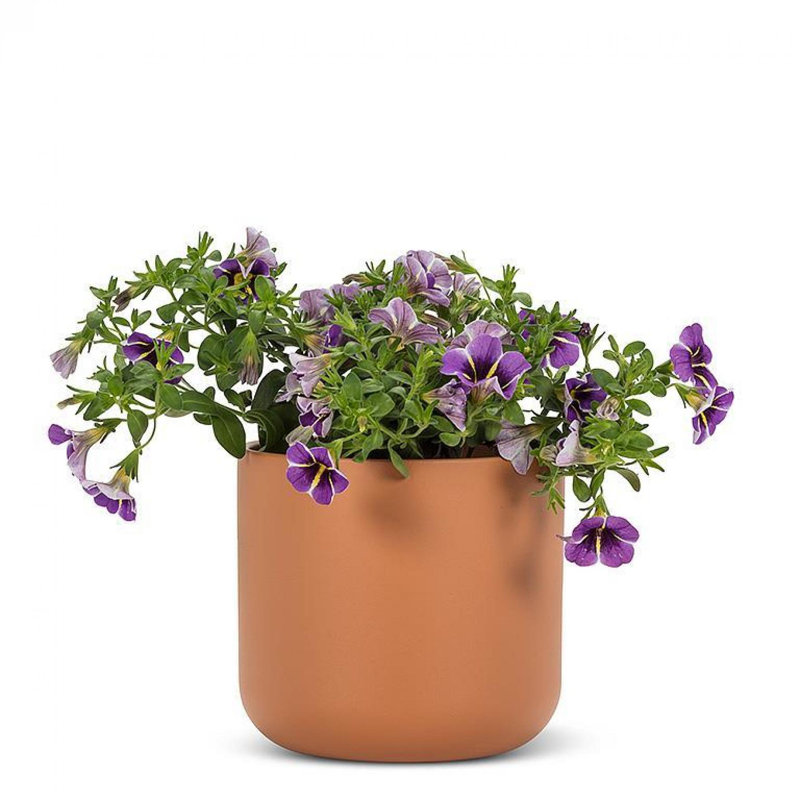 Jardinière classique, Terracotta, H 5 po x l 5,5 po x P 5,5 po