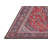 Alishba Oriental Indoor Rug-2080560202