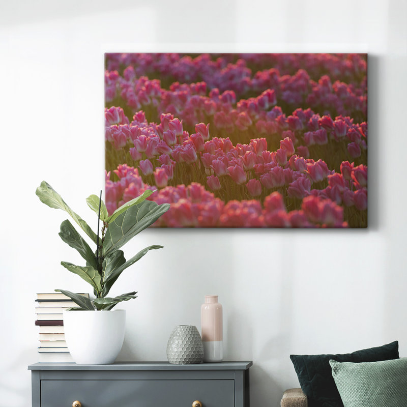 Field of Tulips I-Gallery, toile tendue, H 12 po x l 18 po