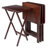 Bezkov Tray Table-16388484