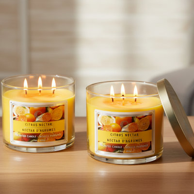 Haight 14 Oz 3 Wick Jar Candle With Lid Citrus Nectar - Set Of 2