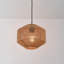 Supranowitz 1 - Light Satin Black Single Pendant