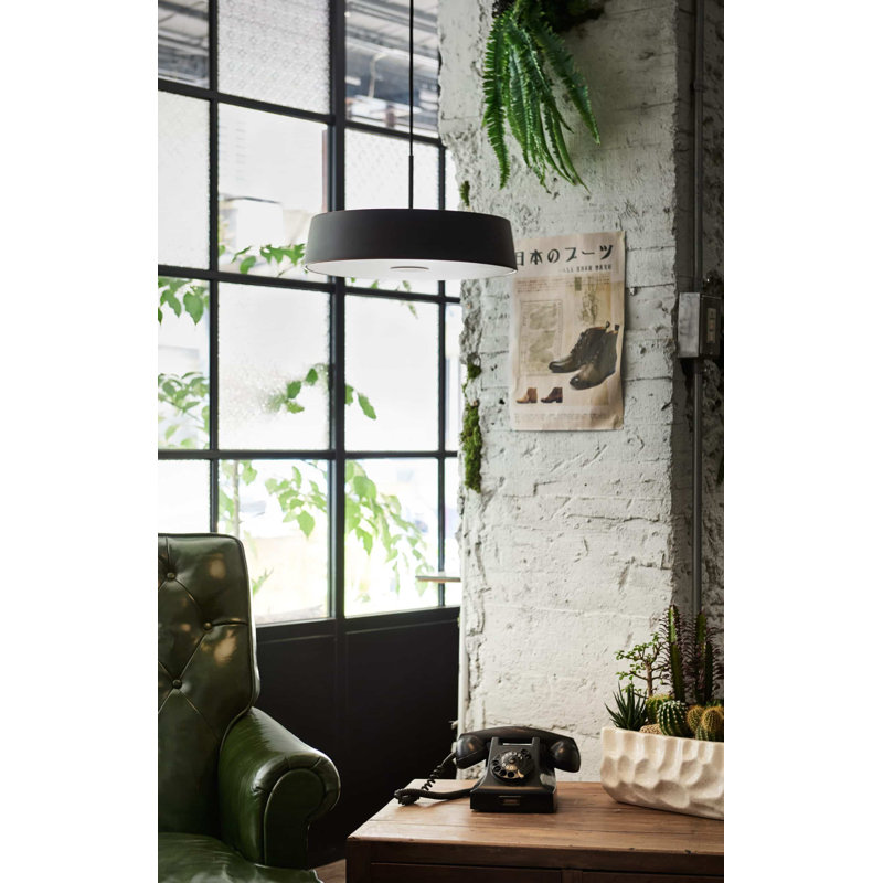 China 1 - Light Pendant, Matte Brass/Black