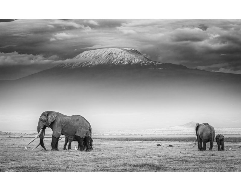 Wrapped Canvas Print, 60.96 cm H x 91.44 cm W