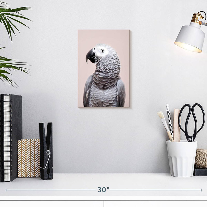 Brampt African Grey, 12" H x 8" W