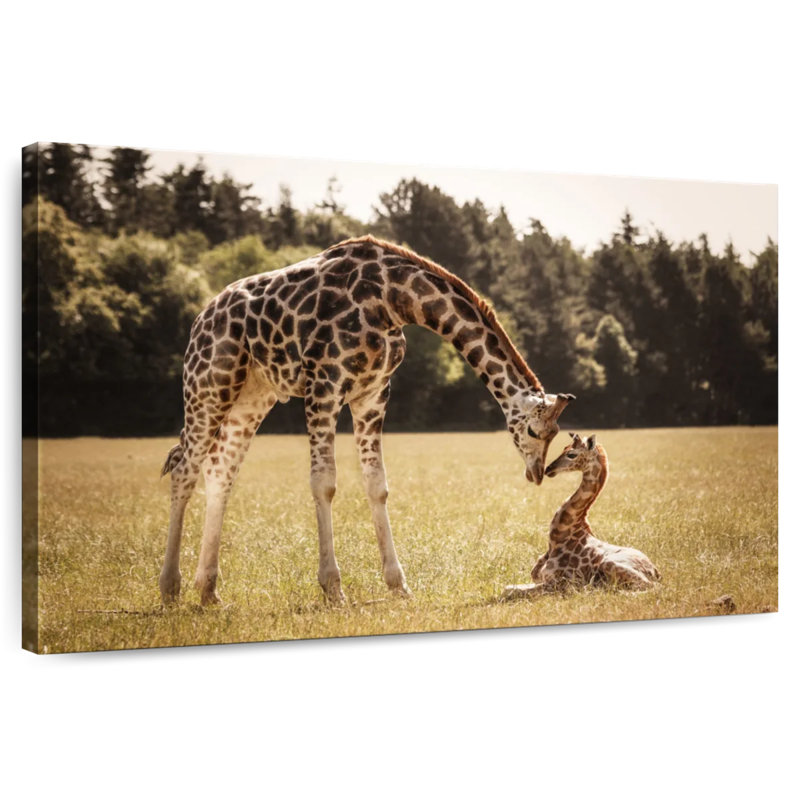 Brampt amoureux des girafes, H 30 po x l 45 po
