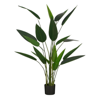 Heliconia Tree