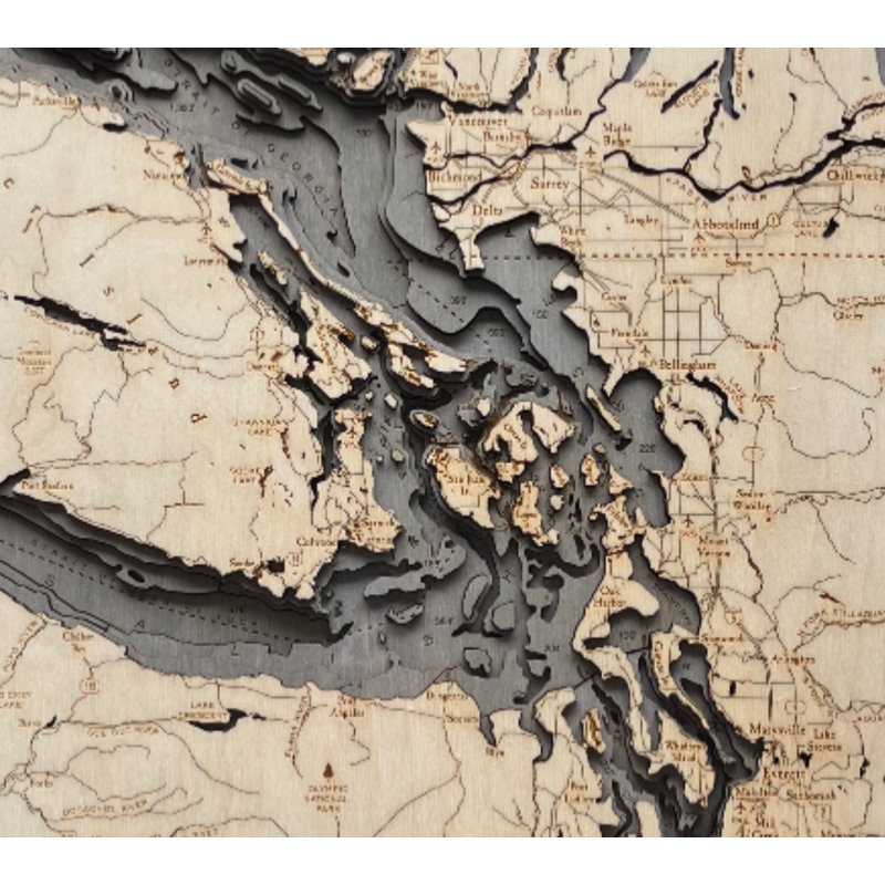 Carte murale Katheen Nautical 3D - mer des Salish, Gris