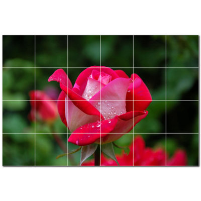 Flowers Photo 6'' x 6'' Satin Ceramic Decorative Mural