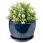 Pot à fleurs rond en céramique bleue-251615364