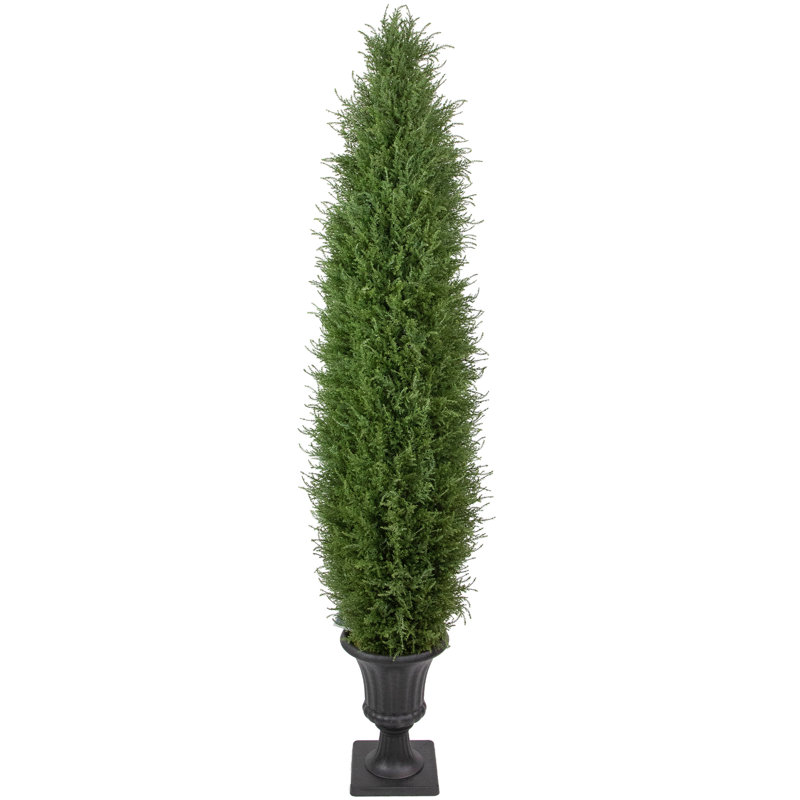 5'' Artificial Cedar Pine Arborvitae Tree In Urn Style Pot  Unlit