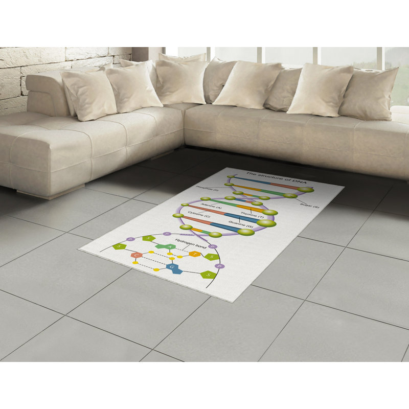 Science High Density Long Fiber Poly Threads Decorative Area Rug Carpet, Rectangle 4' x 5'8"