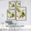 Magnolia Flowers II Framed Print - Solid Wood-1949478870