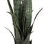 Plante de serpent artificielle Sansevieria en pot-1492571394