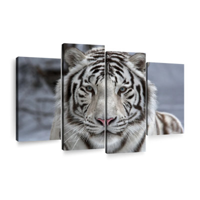Tigre blanc en voie de disparition sur toile, ensemble de 4 pièces