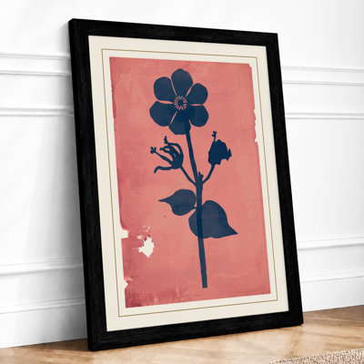Study in Rose Botanical - Framed Print