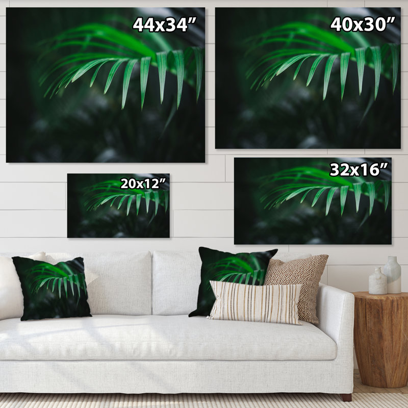 Fougère vert foncé sur fond noir, reproduction d'art sur toile tropicale, H 24 po x l 32 po, Toile tendue