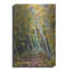 Millwood Pines «Birch Path» par Joanne Towers, art mural en métal-1073157198