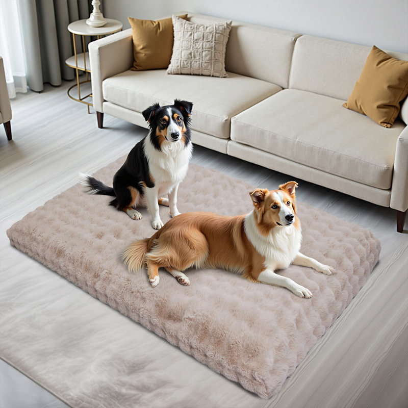 Dog Bed, Beige, 18cm H x 200cm W x 130cm D