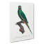 Rose-Ringed Parakeet by F. Levaillant - Wrapped Canvas Print-55324055