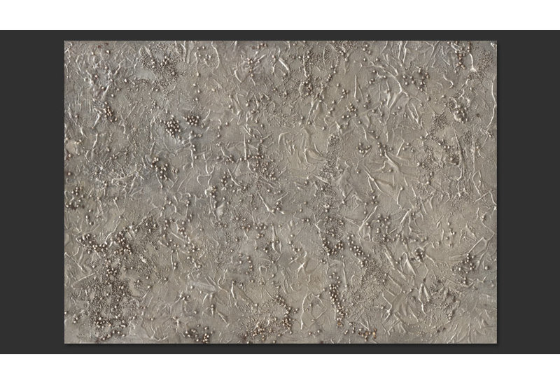 Silver Serenade 2.45m x 350cm Wallpaper