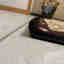 Photos des clients 2 de 2