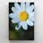Black And Yellow Wasp Perched On White Daisy In Cl Painting Print