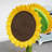 25.5" Double Sunflower Scratching Post