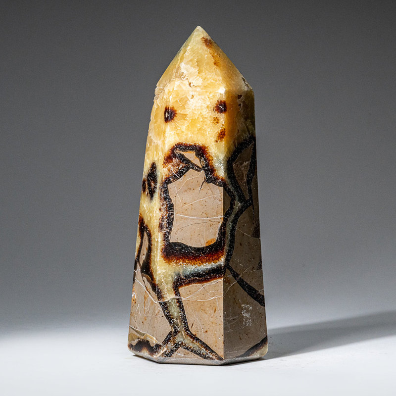 Genuine Polished Septarian Point from Madagascar (1.7 Lbs)