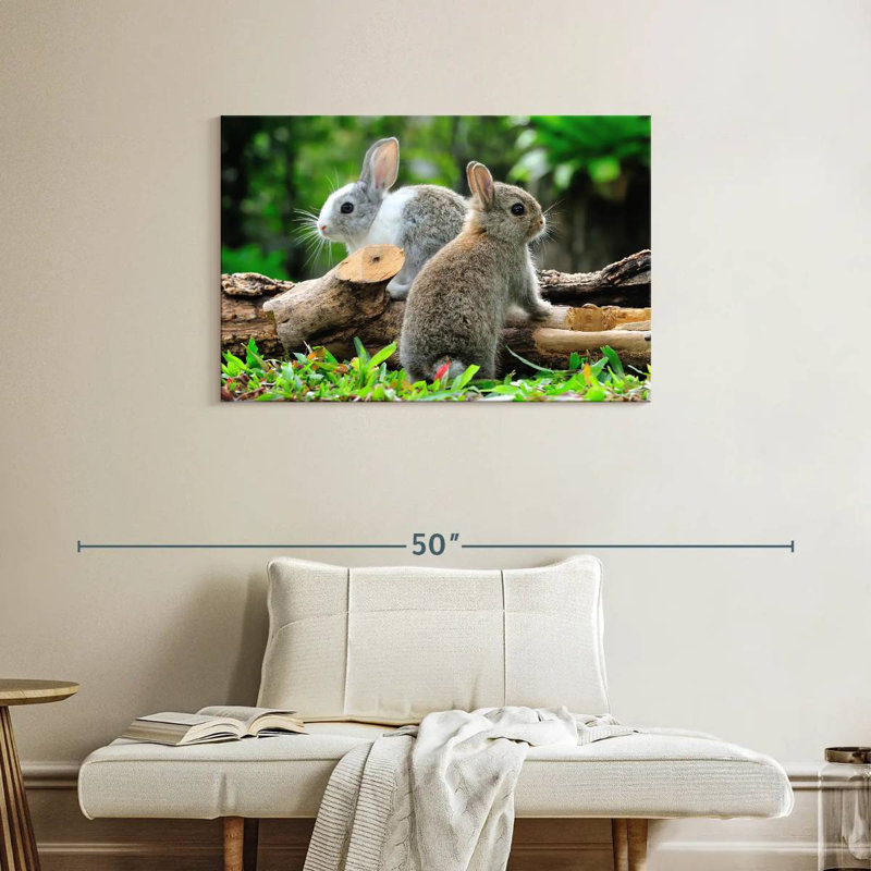 Lapins de jardin Brampt, H 24 po x l 36 po