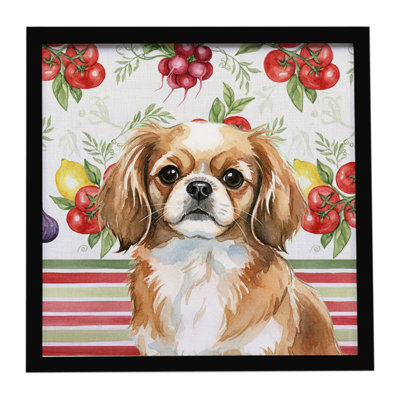 «Tibetan Spaniel Légumes», reproduction d'art encadrée