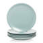 Wazee Matte 10.5" Dinner Plate-763540608