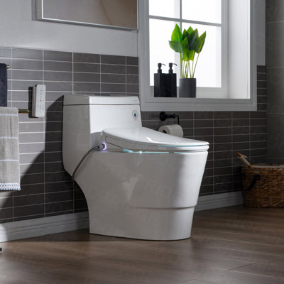 Toilette allongée une pièce Woodbridgee avec siège de bidet intelligent, autonettoyant électronique avancé, couvercle à fermeture en douceur, température de l'eau réglable, veilleuse à DEL, siège chauffant, séchoir à air chaud. Blanc