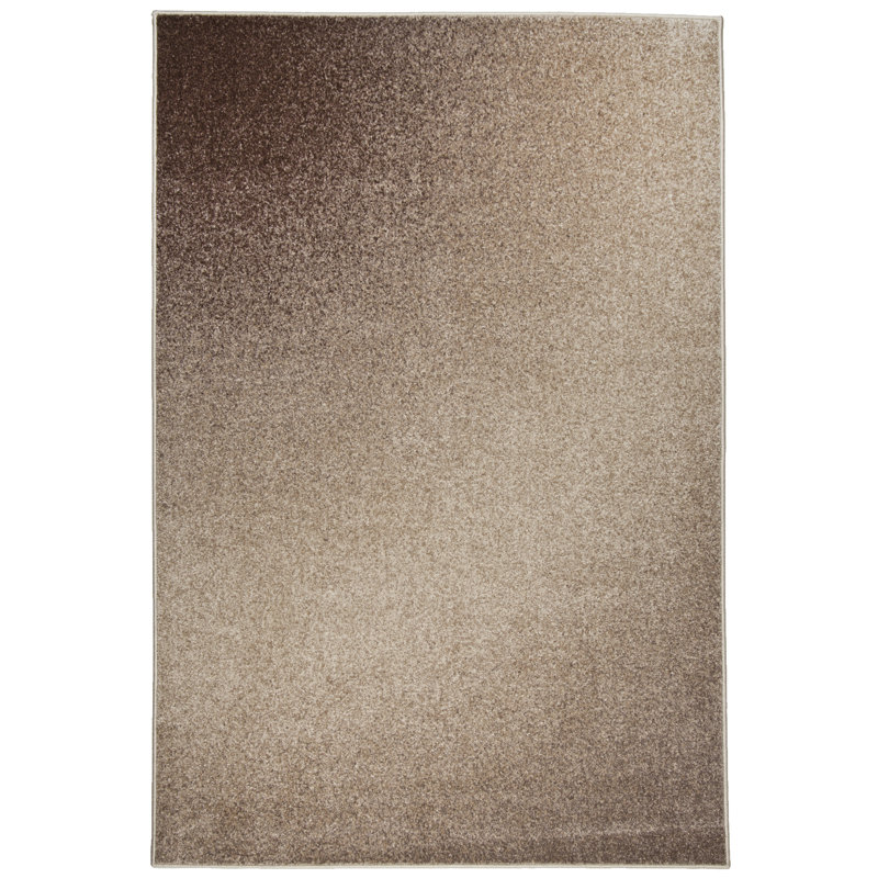 Allesia Solid Colour Area Rug, Rectangular 240 x 340 cm