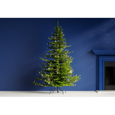 Lighted Christmas Tree