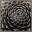 " Succulent " by Gary Horsfall